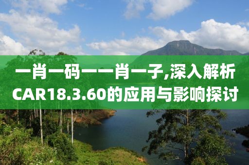 一肖一码一一肖一子,深入解析CAR18.3.60的应用与影响探讨