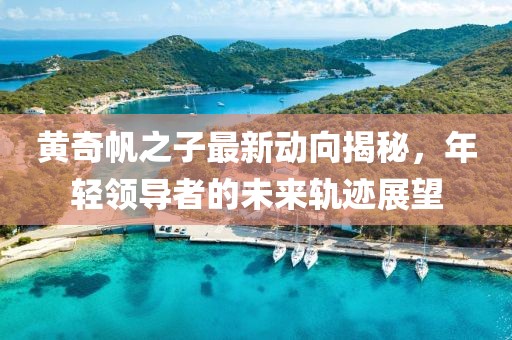 黄奇帆之子最新动向揭秘，年轻领导者的未来轨迹展望
