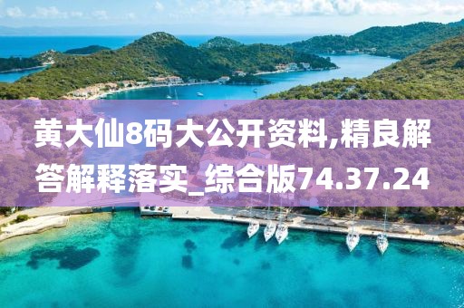 黄大仙8码大公开资料,精良解答解释落实_综合版74.37.24