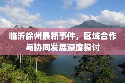 临沂徐州最新事件，区域合作与协同发展深度探讨