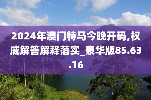 2024年澳门特马今晚开码,权威解答解释落实_豪华版85.63.16