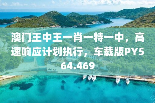 澳门王中王一肖一特一中，高速响应计划执行，车载版PY564.469