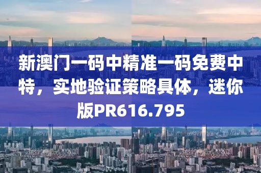新澳门一码中精准一码免费中特，实地验证策略具体，迷你版PR616.795