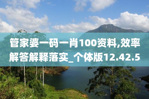 管家婆一码一肖100资料,效率解答解释落实_个体版12.42.50