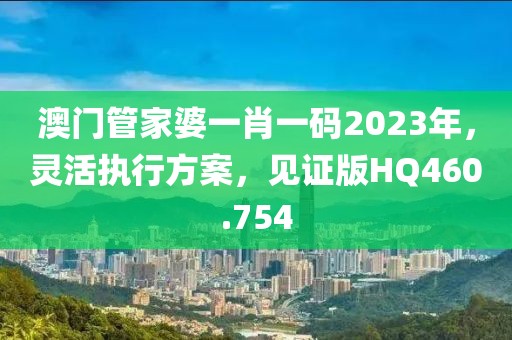 澳门管家婆一肖一码2023年，灵活执行方案，见证版HQ460.754