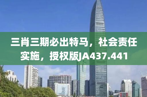三肖三期必出特马，社会责任实施，授权版JA437.441