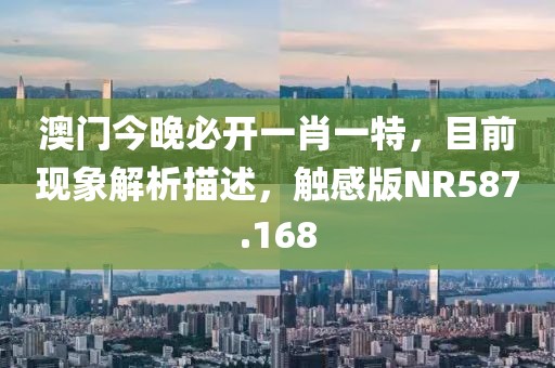 澳门今晚必开一肖一特，目前现象解析描述，触感版NR587.168