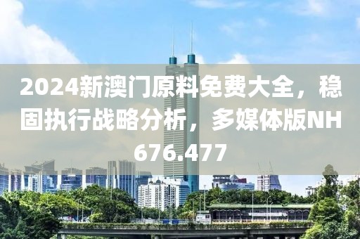 2024新澳门原料免费大全，稳固执行战略分析，多媒体版NH676.477