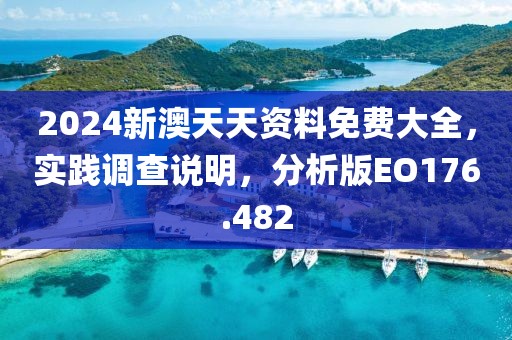 2024新澳天天资料免费大全，实践调查说明，分析版EO176.482