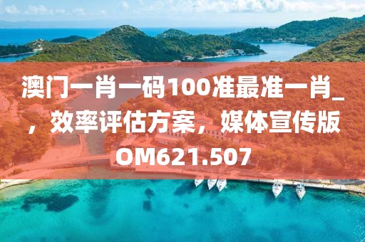 澳门一肖一码100准最准一肖_，效率评估方案，媒体宣传版OM621.507
