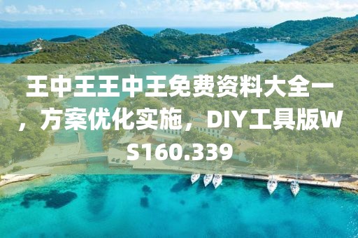 王中王王中王免费资料大全一，方案优化实施，DIY工具版WS160.339