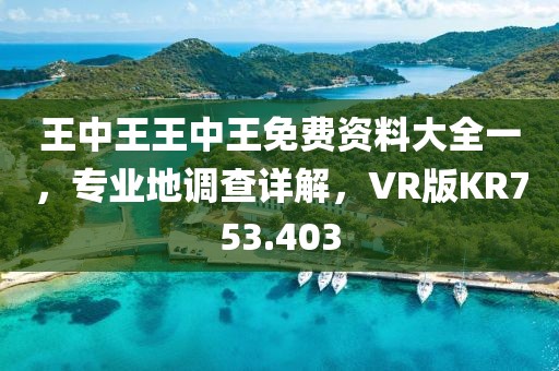 王中王王中王免费资料大全一，专业地调查详解，VR版KR753.403