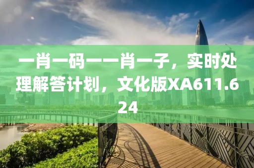 一肖一码一一肖一子，实时处理解答计划，文化版XA611.624