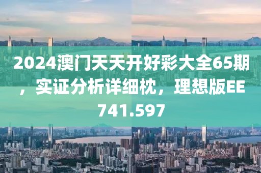 2024澳门天天开好彩大全65期，实证分析详细枕，理想版EE741.597