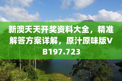 新澳天天开奖资料大全，精准解答方案详解，原汁原味版VB197.723