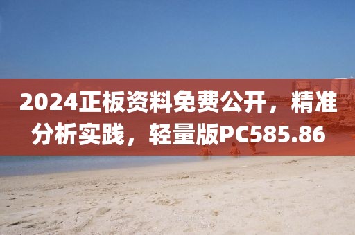 2024正板资料免费公开，精准分析实践，轻量版PC585.86