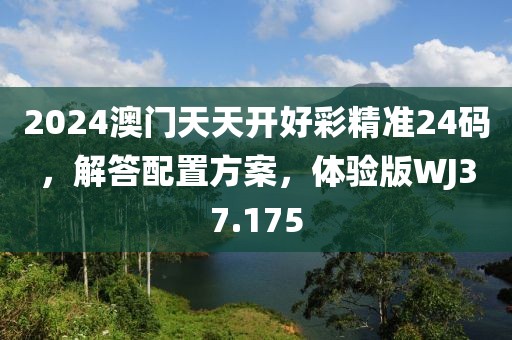 2024澳门天天开好彩精准24码，解答配置方案，体验版WJ37.175