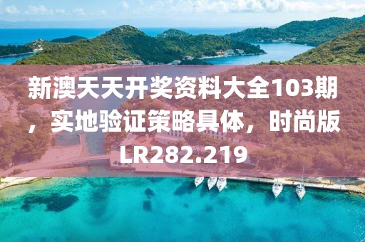 新澳天天开奖资料大全103期，实地验证策略具体，时尚版LR282.219