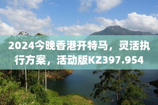 2024今晚香港开特马，灵活执行方案，活动版KZ397.954