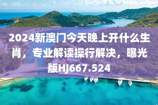 2024新澳门今天晚上开什么生肖，专业解读操行解决，曝光版HJ667.524