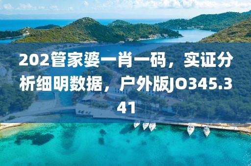 202管家婆一肖一码，实证分析细明数据，户外版JO345.341
