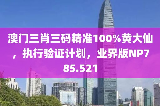 澳门三肖三码精准100%黄大仙，执行验证计划，业界版NP785.521
