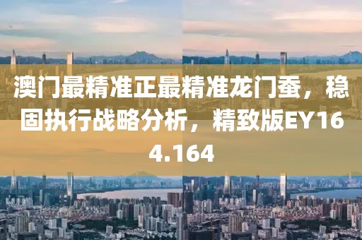 澳门最精准正最精准龙门蚕，稳固执行战略分析，精致版EY164.164