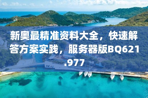 新奥最精准资料大全，快速解答方案实践，服务器版BQ621.977