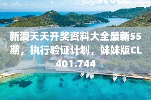 新澳天天开奖资料大全最新55期，执行验证计划，妹妹版CL401.744