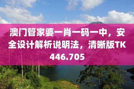 澳门管家婆一肖一码一中，安全设计解析说明法，清晰版TK446.705