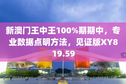 新澳门王中王100%期期中，专业数据点明方法，见证版XY819.59
