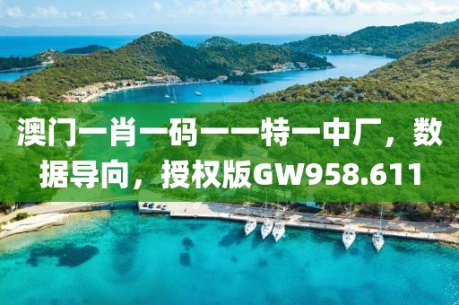 澳门一肖一码一一特一中厂，数据导向，授权版GW958.611