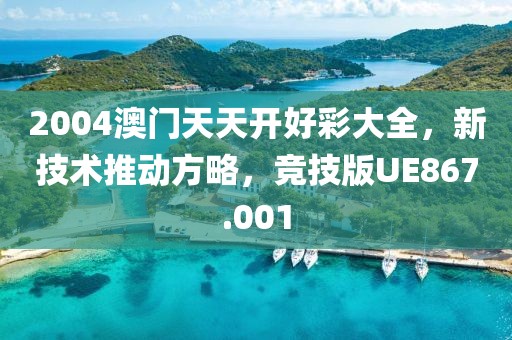 2004澳门天天开好彩大全，新技术推动方略，竞技版UE867.001