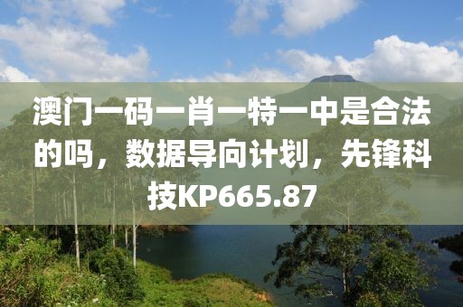 澳门一码一肖一特一中是合法的吗，数据导向计划，先锋科技KP665.87