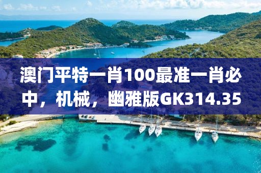 澳门平特一肖100最准一肖必中，机械，幽雅版GK314.35