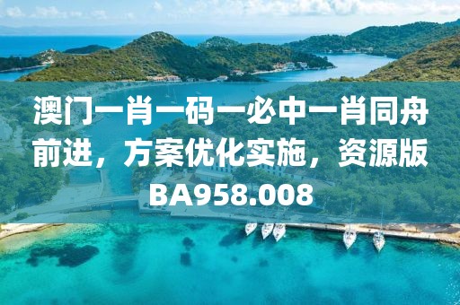 澳门一肖一码一必中一肖同舟前进，方案优化实施，资源版BA958.008