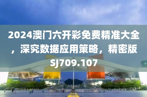 2024澳门六开彩免费精准大全，深究数据应用策略，精密版SJ709.107