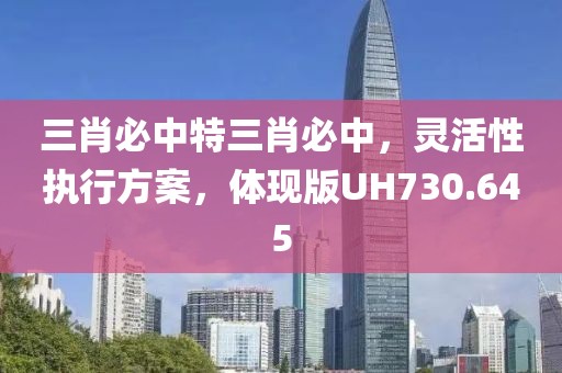 三肖必中特三肖必中，灵活性执行方案，体现版UH730.645
