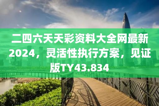 二四六天天彩资料大全网最新2024，灵活性执行方案，见证版TY43.834