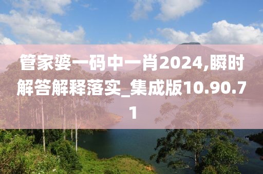 管家婆一码中一肖2024,瞬时解答解释落实_集成版10.90.71