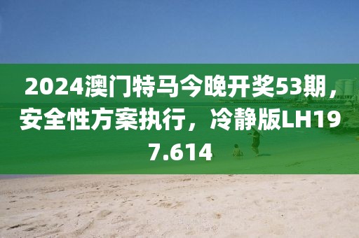 2024澳门特马今晚开奖53期，安全性方案执行，冷静版LH197.614