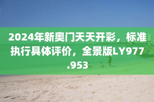 2024年新奥门天天开彩，标准执行具体评价，全景版LY977.953