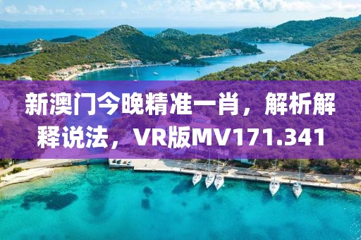 新澳门今晚精准一肖，解析解释说法，VR版MV171.341