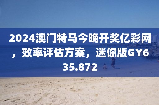 2024澳门特马今晚开奖亿彩网，效率评估方案，迷你版GY635.872
