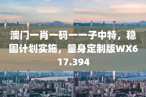 澳门一肖一码一一子中特，稳固计划实施，量身定制版WX617.394