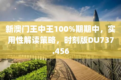 新澳门王中王100%期期中，实用性解读策略，时刻版DU737.456