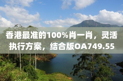 香港最准的100%肖一肖，灵活执行方案，结合版OA749.55