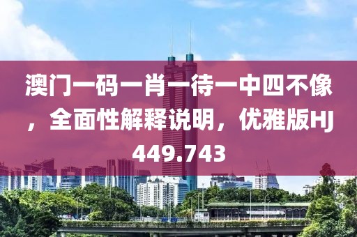 澳门一码一肖一待一中四不像，全面性解释说明，优雅版HJ449.743
