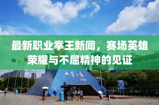 最新职业拳王新闻，赛场英雄荣耀与不屈精神的见证