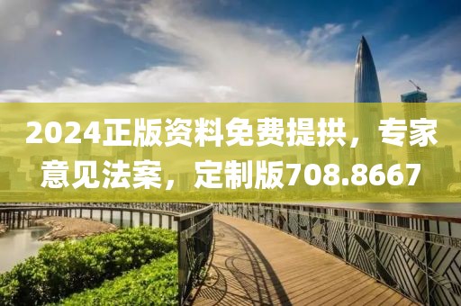 2024正版资料免费提拱，专家意见法案，定制版708.8667